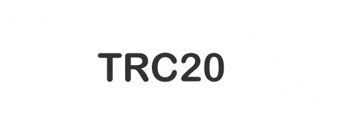 TRC20 Payment