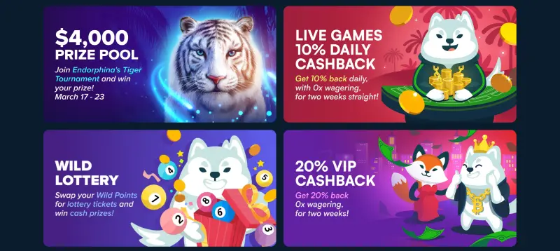 Wild.io Casino Bonus