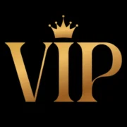 Vipcasino Erfahrungen